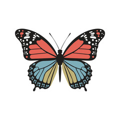 Single colorful butterfly Vector Art Illustration isolated on a white background