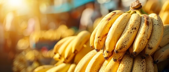   Bananas stacked in rows at a store window during a sunlit day