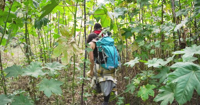 Small group of mexican tourist walks across the trees in San Jeronimo Tecuanipan