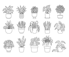 Collection of Houseplants Line Drawings