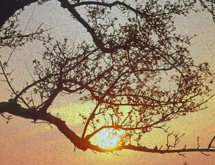 Zweig in der Abendsonne