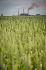 Factory in Mariupol city during Russo-Ukrainian War in Donbas region, Ukraine