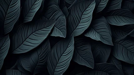 Poster Textures of abstract black leaves for tropical leaf background  © Media Srock