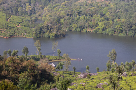 small Lake and green forest