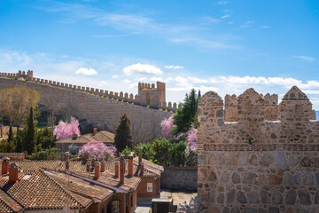 Fototapeta na wymiar Medieval Walls of Avila Battlements and city view - Avila, Spain