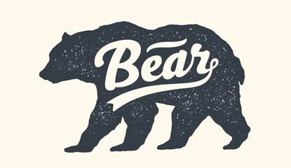 Bear. Lettering, typography - 768099575