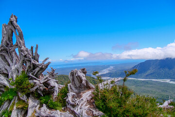 Remains of the unearthed roots of a tree at the top of the El Chaiten Volcano hiking trail with the river and mountains in the background.  Location:  Chaitén Los Lagos, Chile