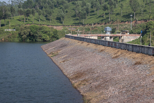 Check dam in the tea estate