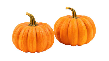 two decorative small pumpkins on a isolated white background