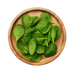wooden round plate with fresh spinach leaves, isolated on a white background. top view