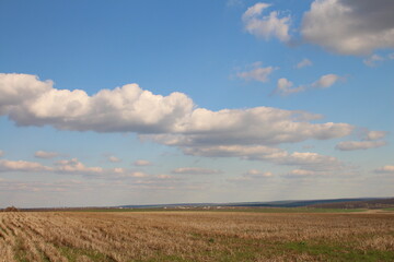 Obraz premium A field with grass and blue sky