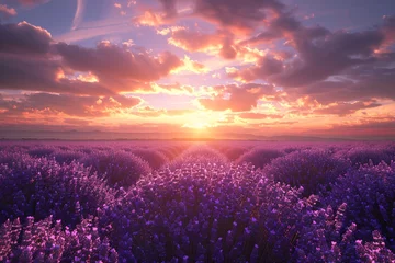 Rolgordijnen a field of lavender with the sun setting behind it © Ion