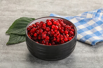 Ripe sweet wild organic cowberry