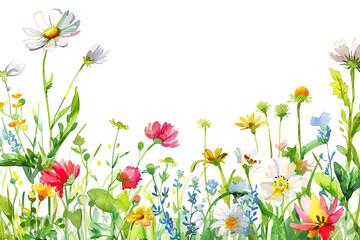 Weißer Hintergrund mit Frühlingsblumen und Textfreiraum - obrazy, fototapety, plakaty