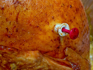 Baked turkey with temperature probe extended indicating the turkey is cooked