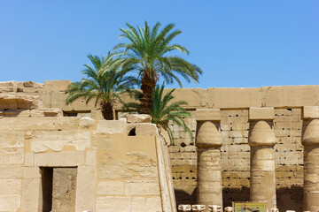 Ancient ruins of Karnak temple in Egypt - 768112528