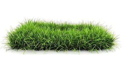 Green grass isolated on white background. 3D rendering.