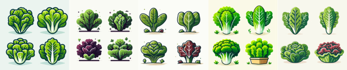 vector set of spinach with flat design style