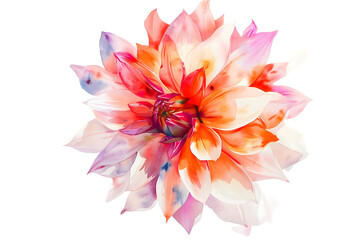 Vibrant Multi-Colored Dahlia Flower - Isolated on Transparent White Background PNG
