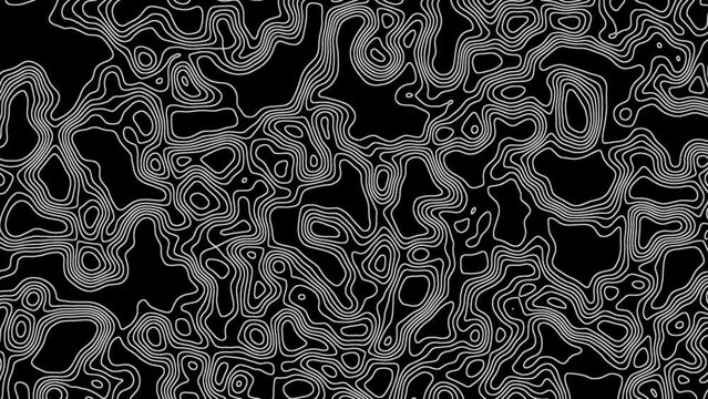 Abstract topographic contours. Moving white lines. Seamlessly looped motion background