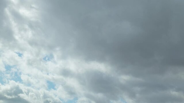 雨上がりの空」の写真素材 | 6,508件の無料イラスト画像 | Adobe Stock