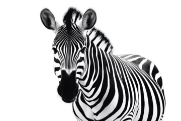 Foto op Plexiglas zebra illustration © akk png