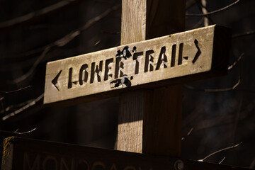 This is an image of a trail markers showing hikers the way to go. The brown signage marking the...