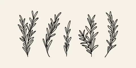 Muurstickers Line art rosemary branches collection © Maria