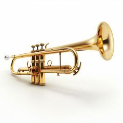 
Trumpet on a white background




