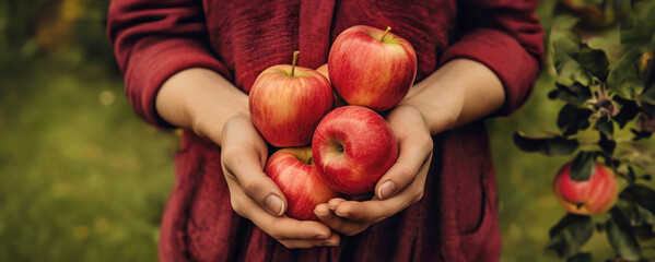 Close up of farmer hand holding fresh sweet apples. Generative AI