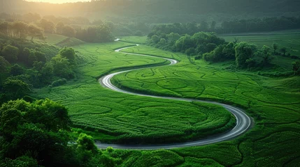 Photo sur Aluminium Vert Scenic drive: Aerial view of highway winding through lush wheat fields,