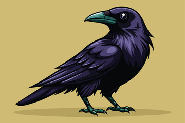 american-crow-vector-illustration balck.eps