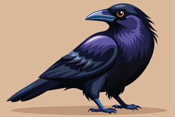 american-crow-vector-illustration ill v.eps