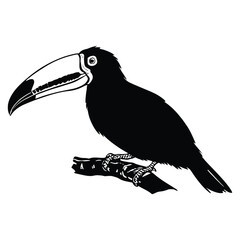 Fototapeta premium Toucan Silhouette