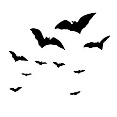 Silhouettes of flying bats