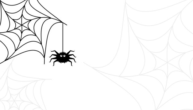 Halloween banner with cobwebs and spiders. Black Spider and a Torn Web. Scary Web Halloween symbol. Vector illustration isolated on  white 