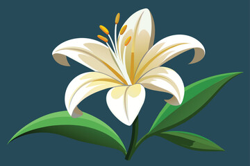 lily-vector-illustration flower i.eps