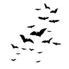 Silhouettes of flying bats
