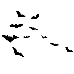 Silhouettes of flying bats