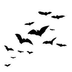 Silhouettes of flying bats
