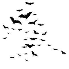 Silhouettes of flying bats