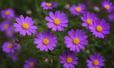 Soft dreamy sweet flowers for love romance background