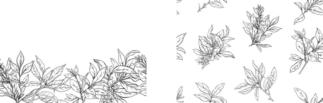Branch with leaves of green tea. Seamless pattern, background. Vector illustration. In botanical style