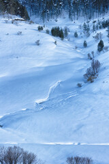 Textures in the snow