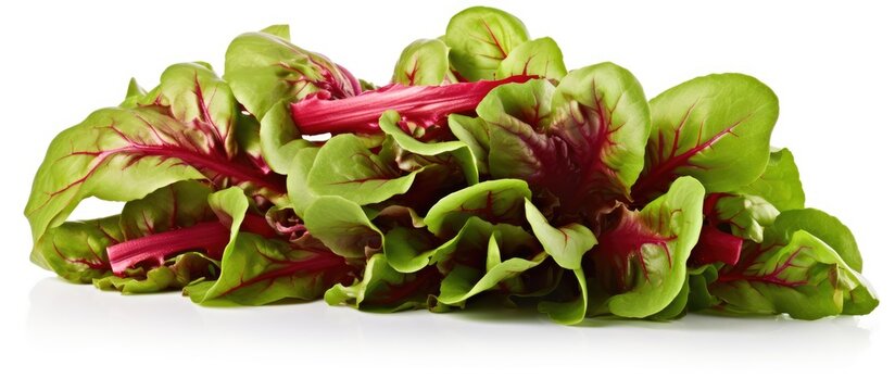 A pile of lettuce with red and green leaves stacked together, showcasing a vibrant and fresh mix of colors. The image highlights the crisp texture and variety of the lettuce leaves.