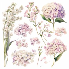 Sure, here is a sentence describing a close-up of a lilac bouquet:  A close-up of a fragrant purple lilac bouquet