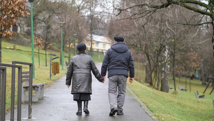 Seniors couple holding hands walking on park alley