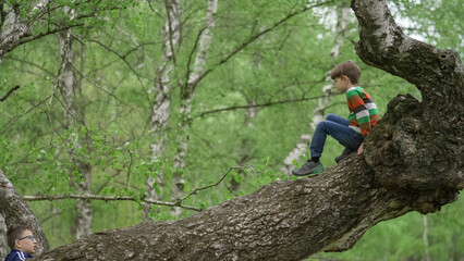 Little kid shows his big brother how to climb in a tree