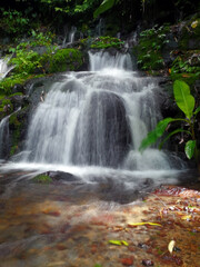 Fototapeta na wymiar Long exposure view of water streams of waterfall in the forest.