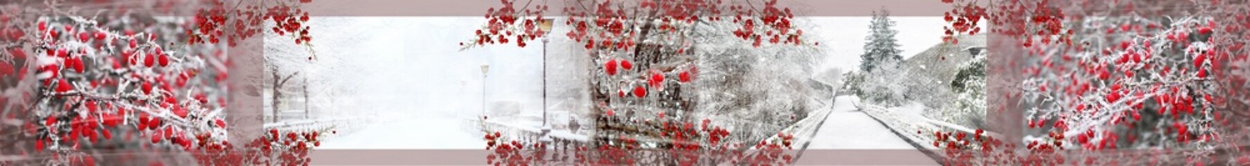 Winter panorama with branches of red berries